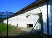 obrazek aktualno�ci
