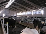 obrazek aktualno�ci