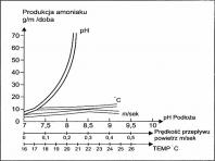 obrazek aktualnoci