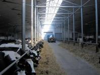 obrazek aktualno�ci