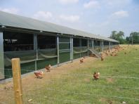 Kurniki mobilne HALO RANGER Kurniki mobilne HALO RANGER